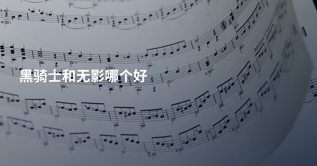 黑骑士和无影哪个好