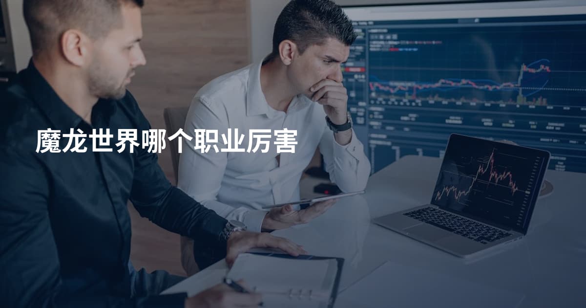 魔龙世界哪个职业厉害
