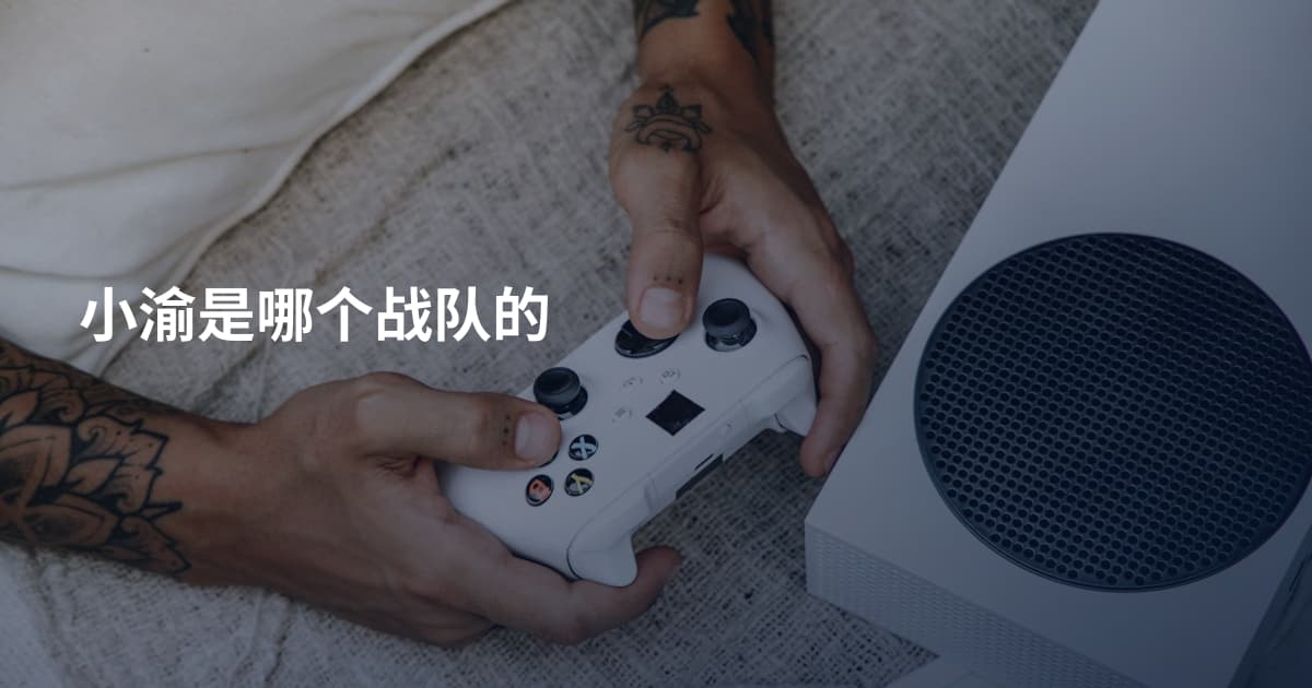小渝是哪个战队的