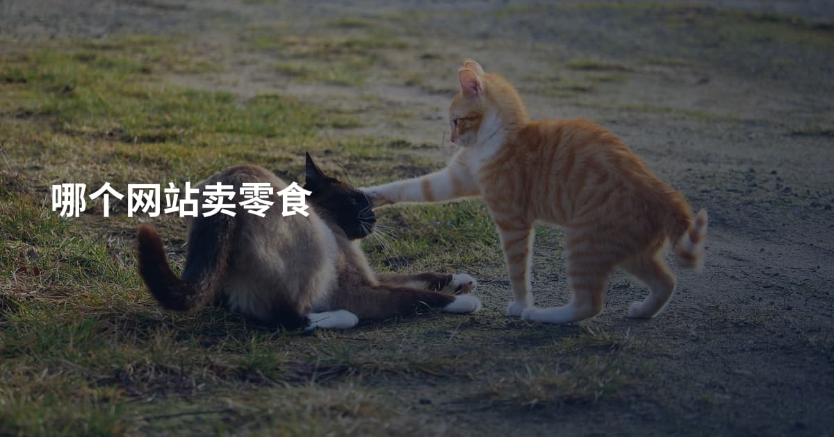 哪个网站卖零食