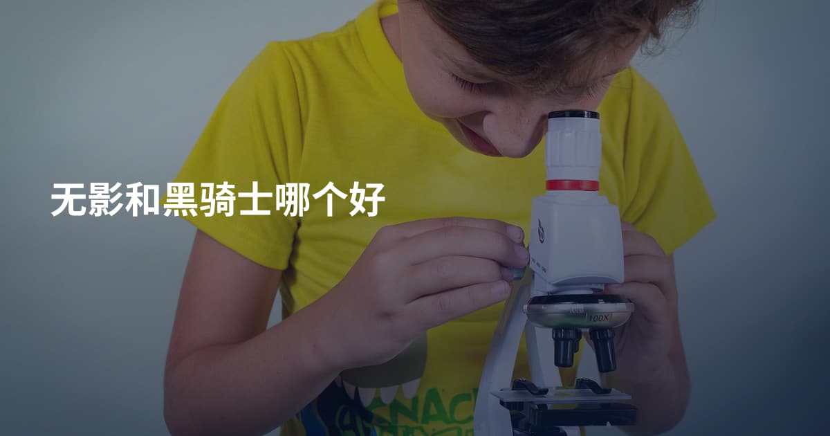 无影和黑骑士哪个好
