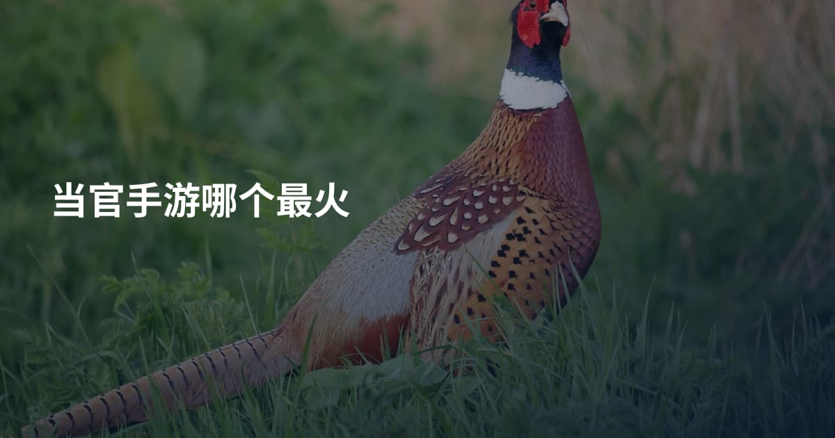 当官手游哪个最火