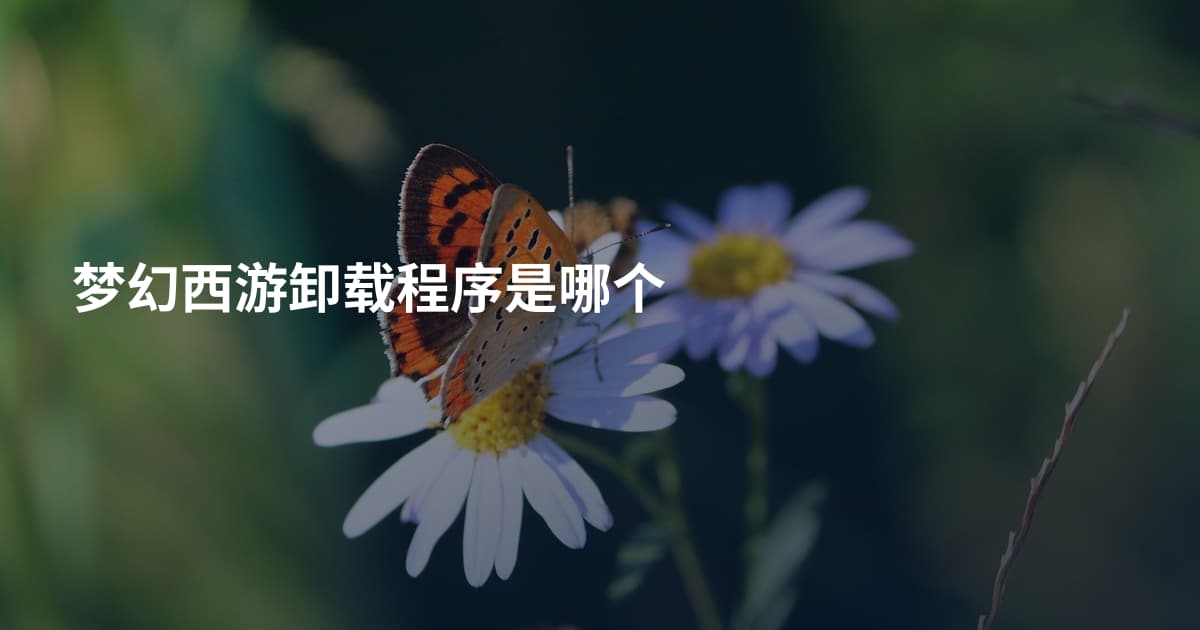 梦幻西游卸载程序是哪个