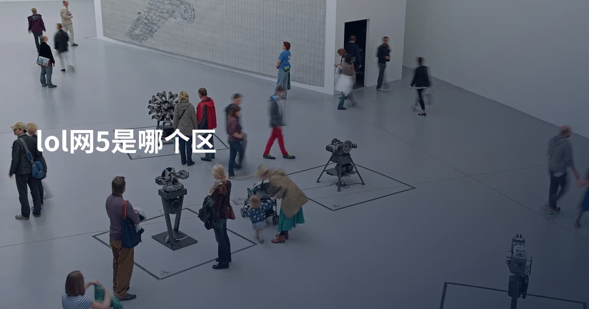 lol网5是哪个区