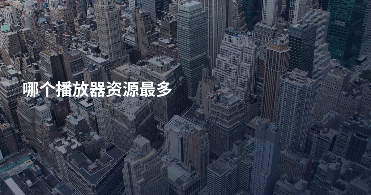 哪个播放器资源最多