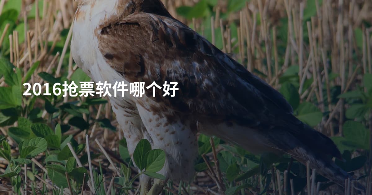 2016抢票软件哪个好