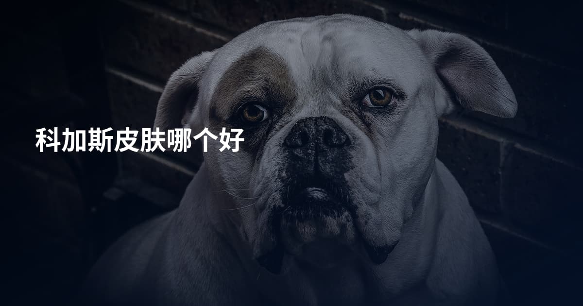科加斯皮肤哪个好