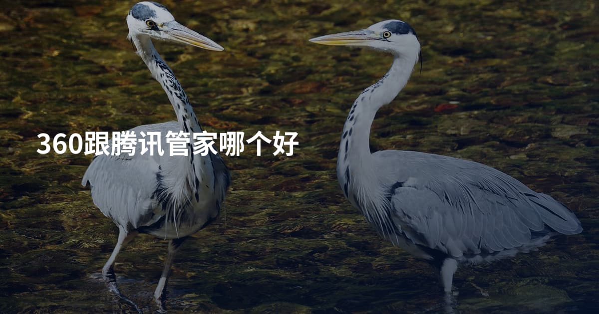 360跟腾讯管家哪个好