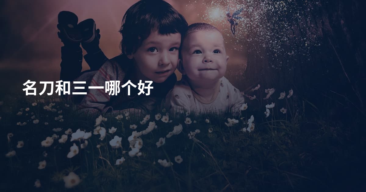 名刀和三一哪个好