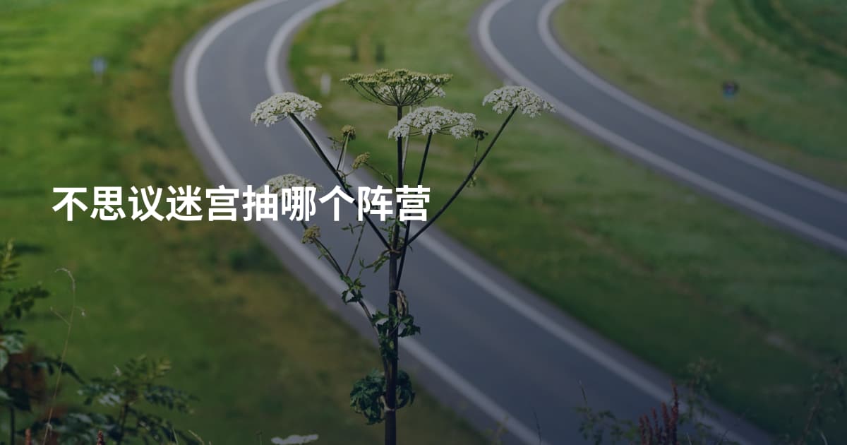 不思议迷宫抽哪个阵营