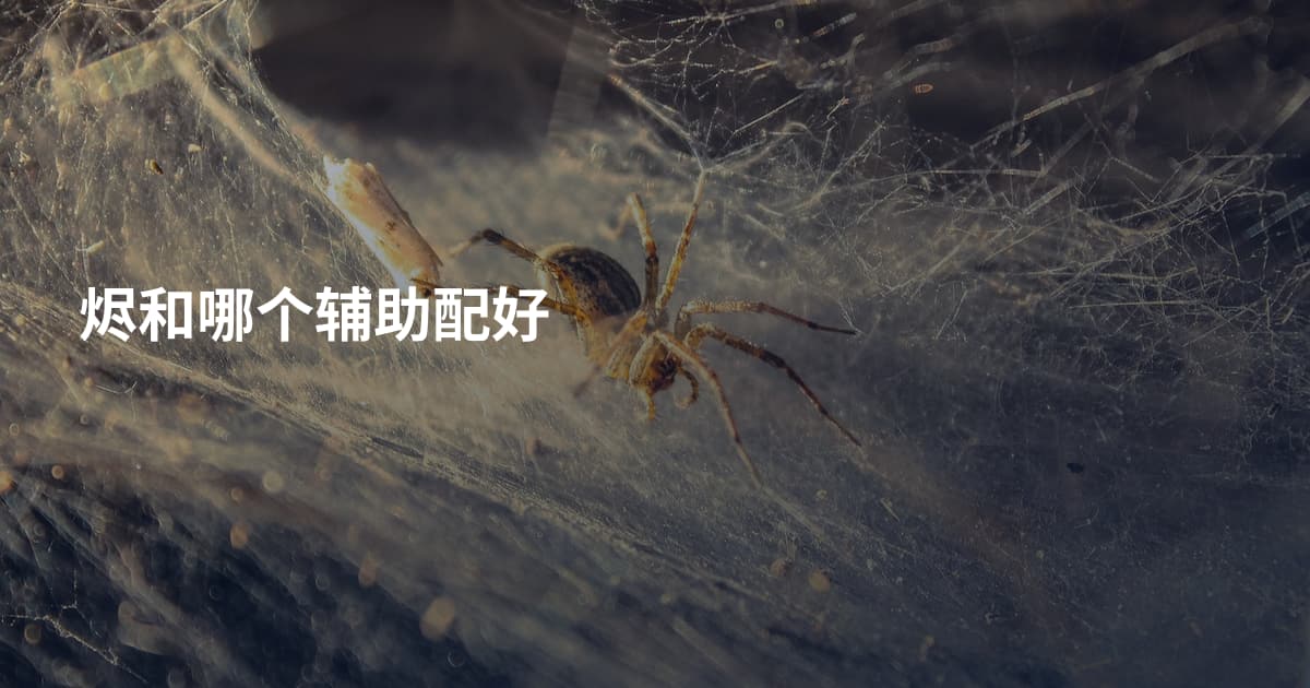 烬和哪个辅助配好