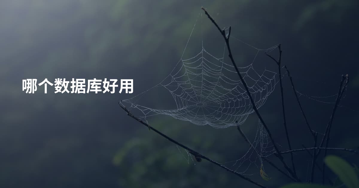 哪个数据库好用