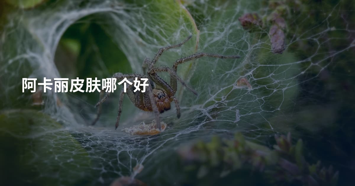 阿卡丽皮肤哪个好