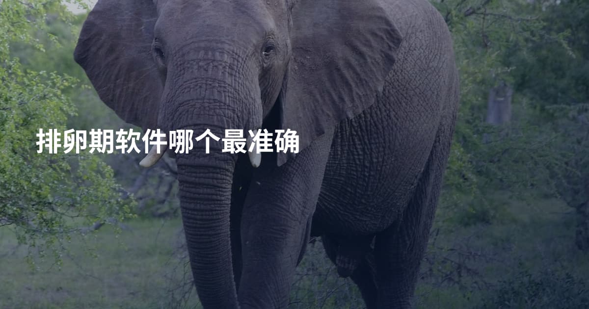 排卵期软件哪个最准确
