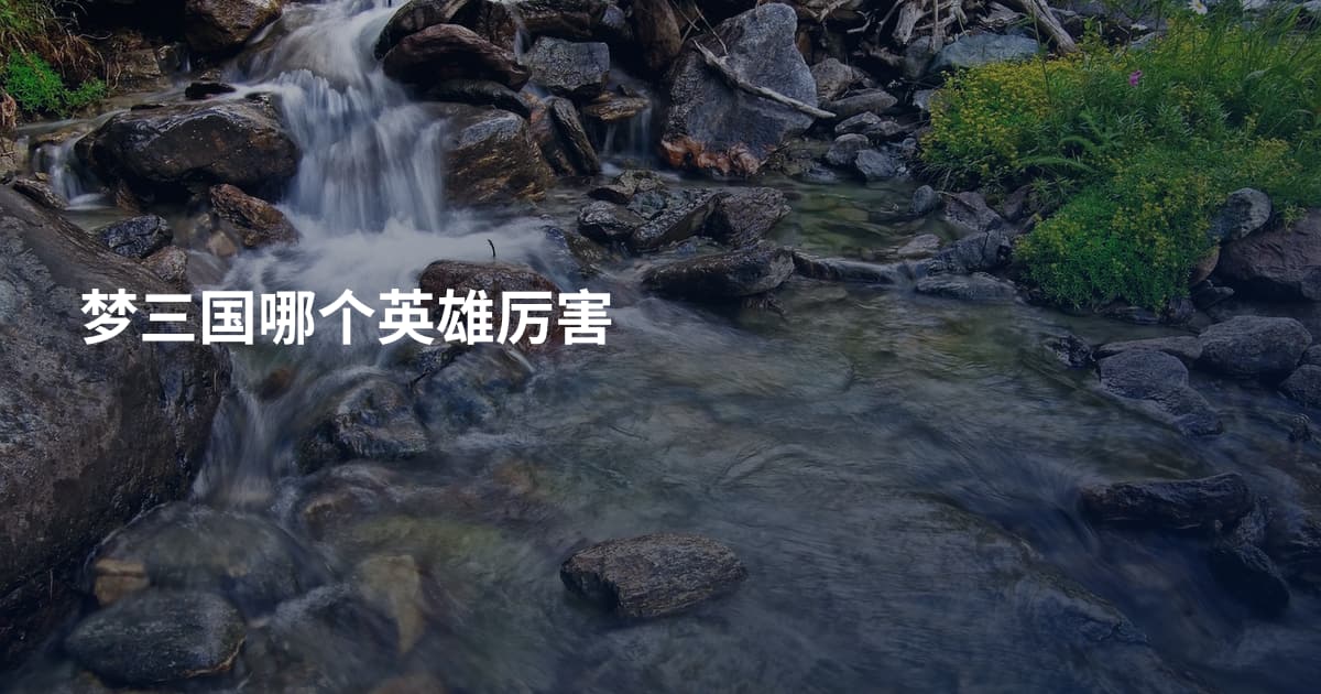 梦三国哪个英雄厉害