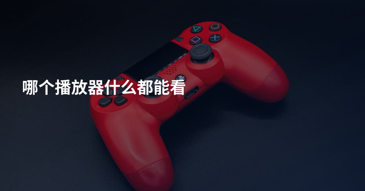 哪个播放器什么都能看