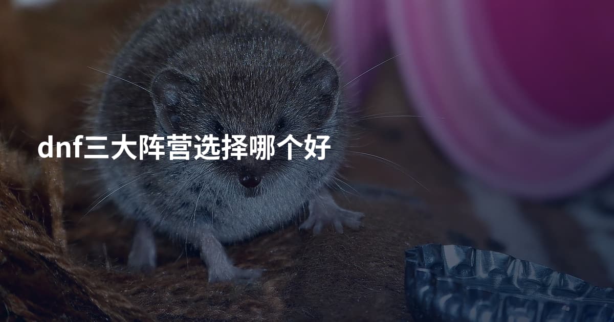 dnf三大阵营选择哪个好