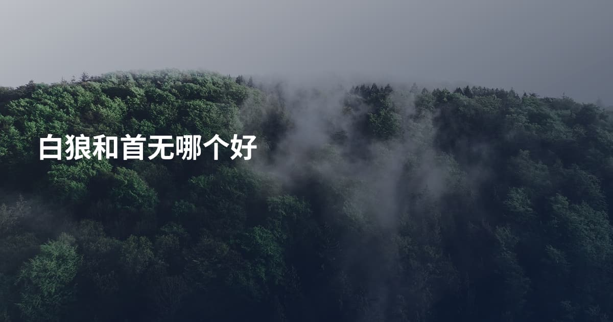 白狼和首无哪个好