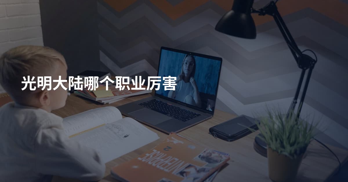 光明大陆哪个职业厉害