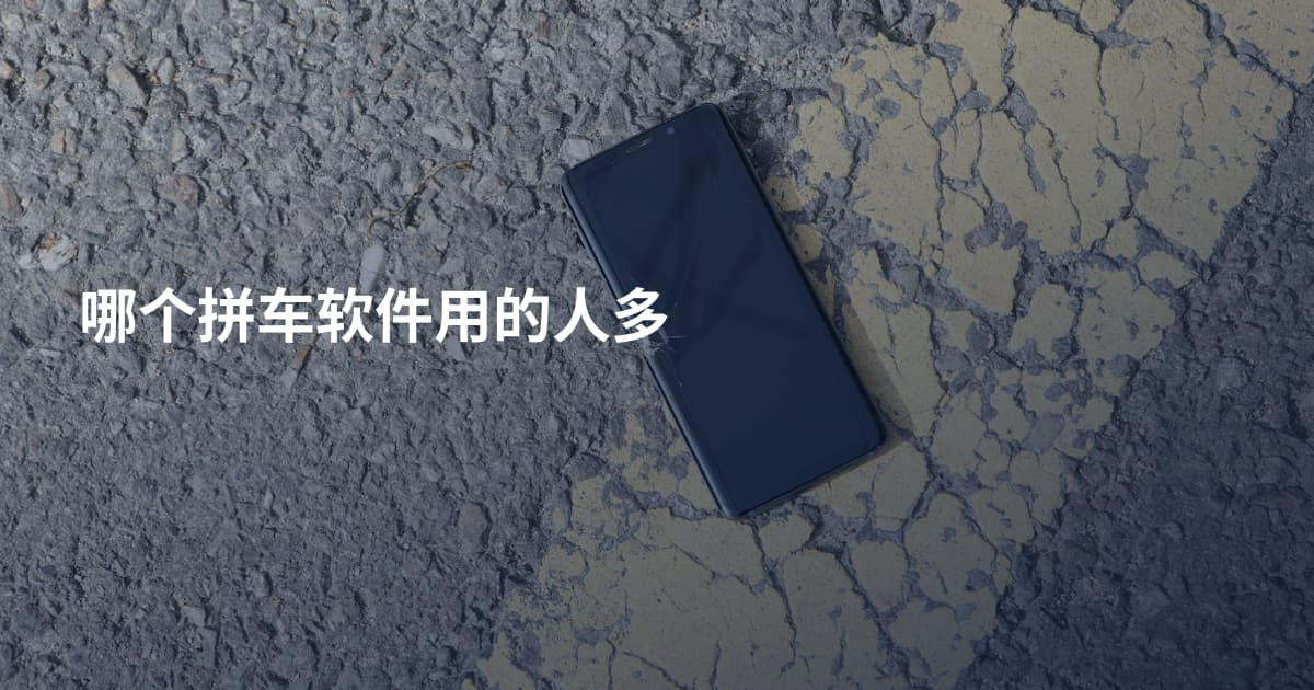 哪个拼车软件用的人多