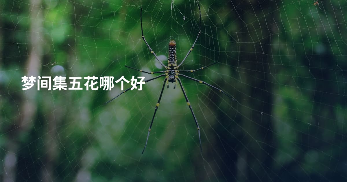 梦间集五花哪个好