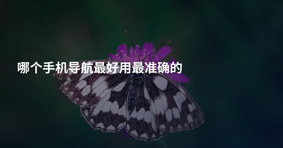 哪个手机导航最好用最准确的