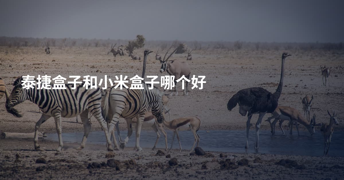 泰捷盒子和小米盒子哪个好