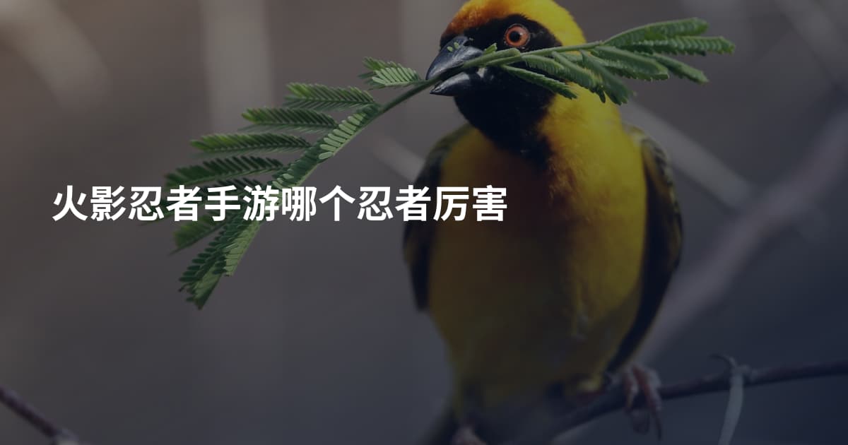 火影忍者手游哪个忍者厉害