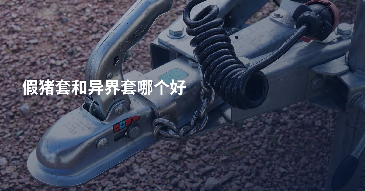 假猪套和异界套哪个好