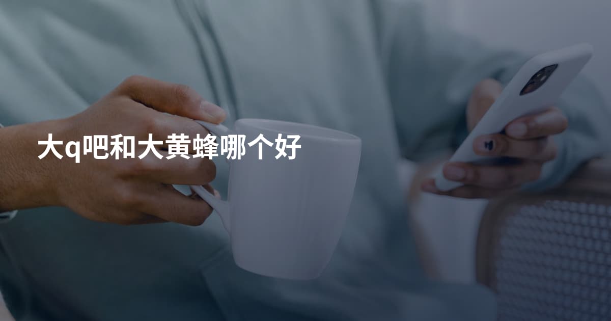 大q吧和大黄蜂哪个好