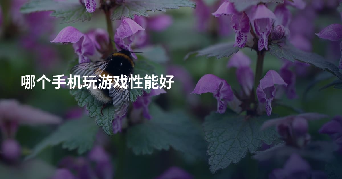 哪个手机玩游戏性能好