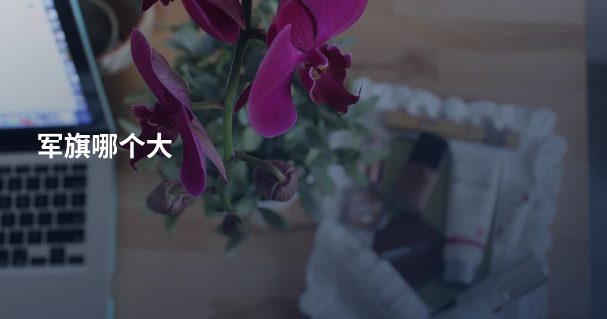 军旗哪个大