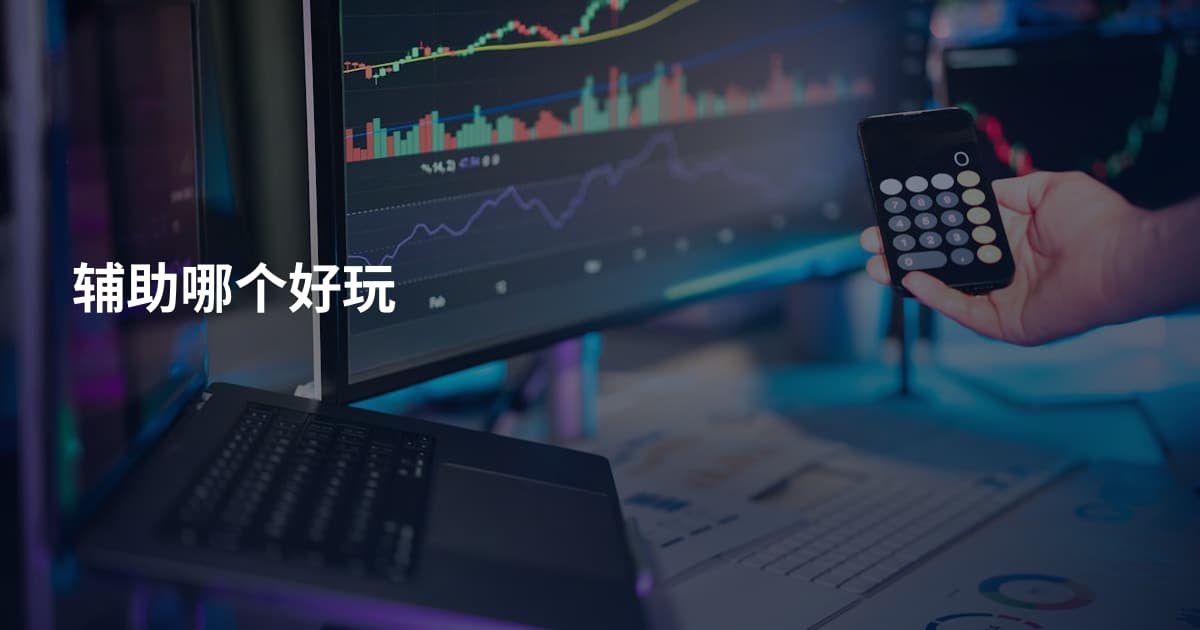 辅助哪个好玩