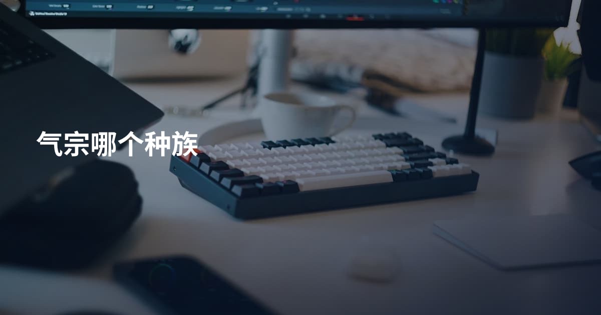 气宗哪个种族