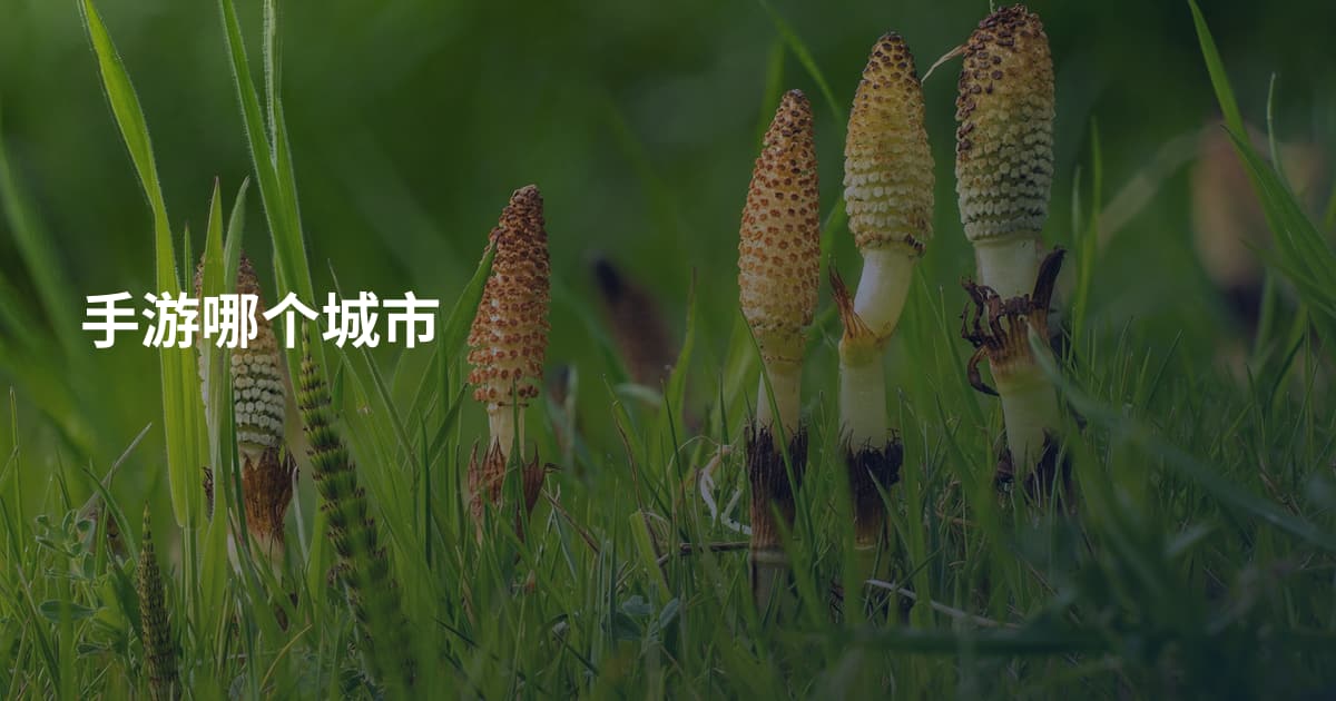 手游哪个城市