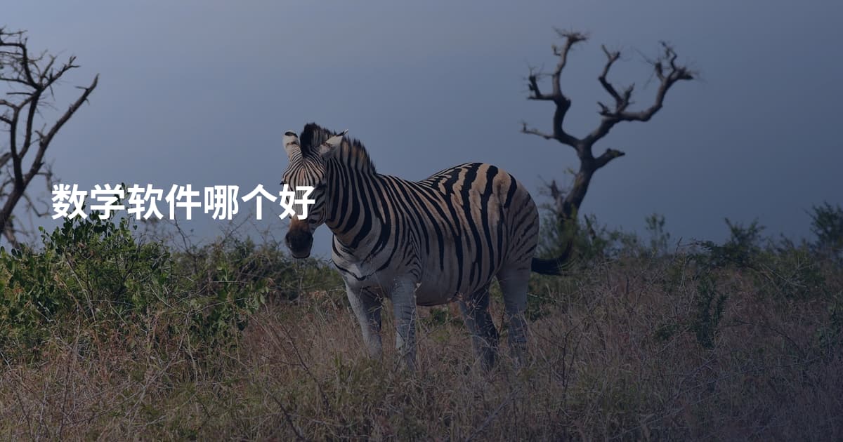 数学软件哪个好