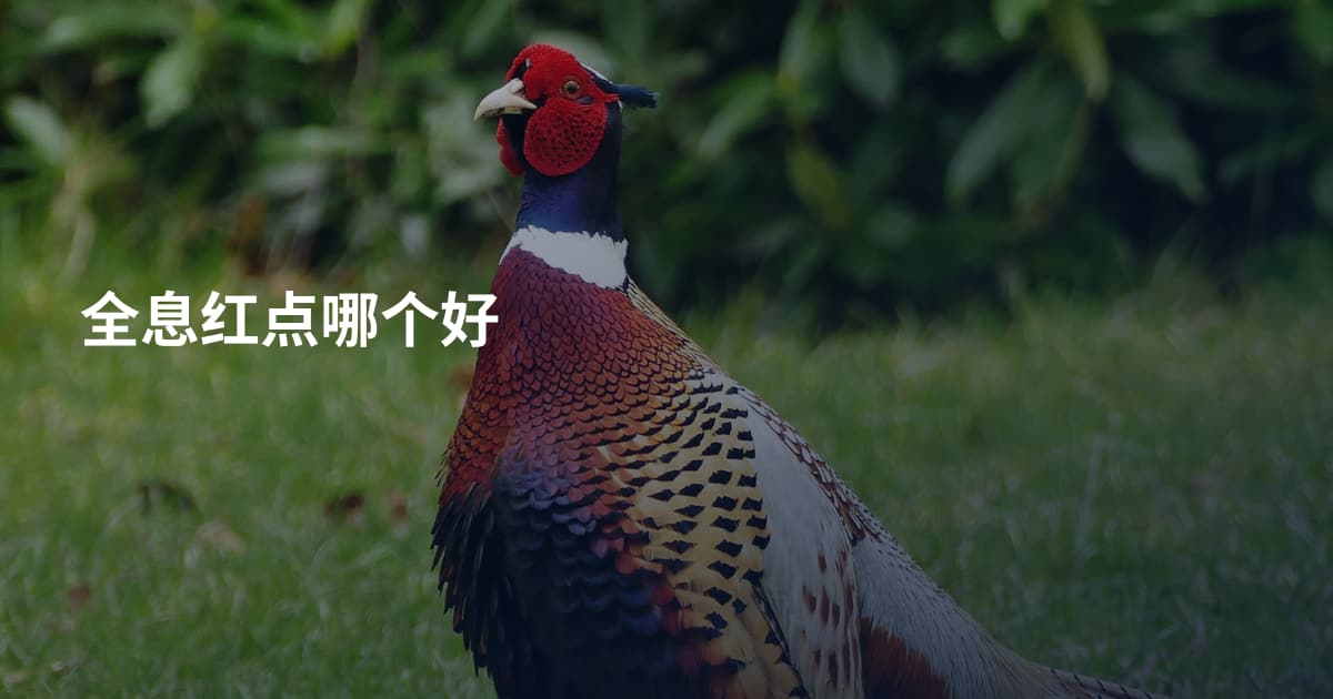 全息红点哪个好