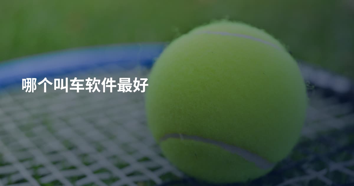 哪个叫车软件最好