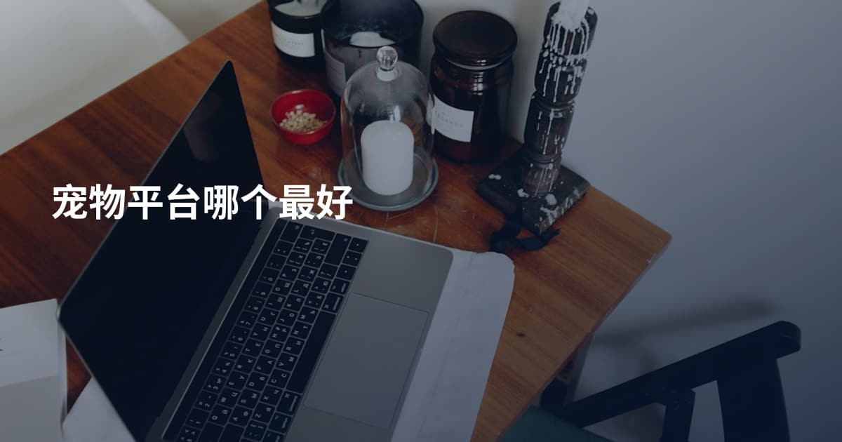 宠物平台哪个最好