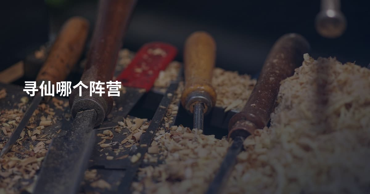 寻仙哪个阵营