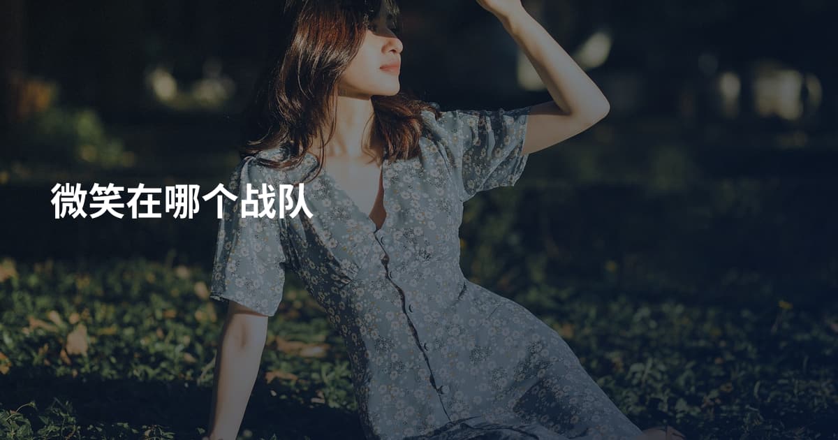 微笑在哪个战队