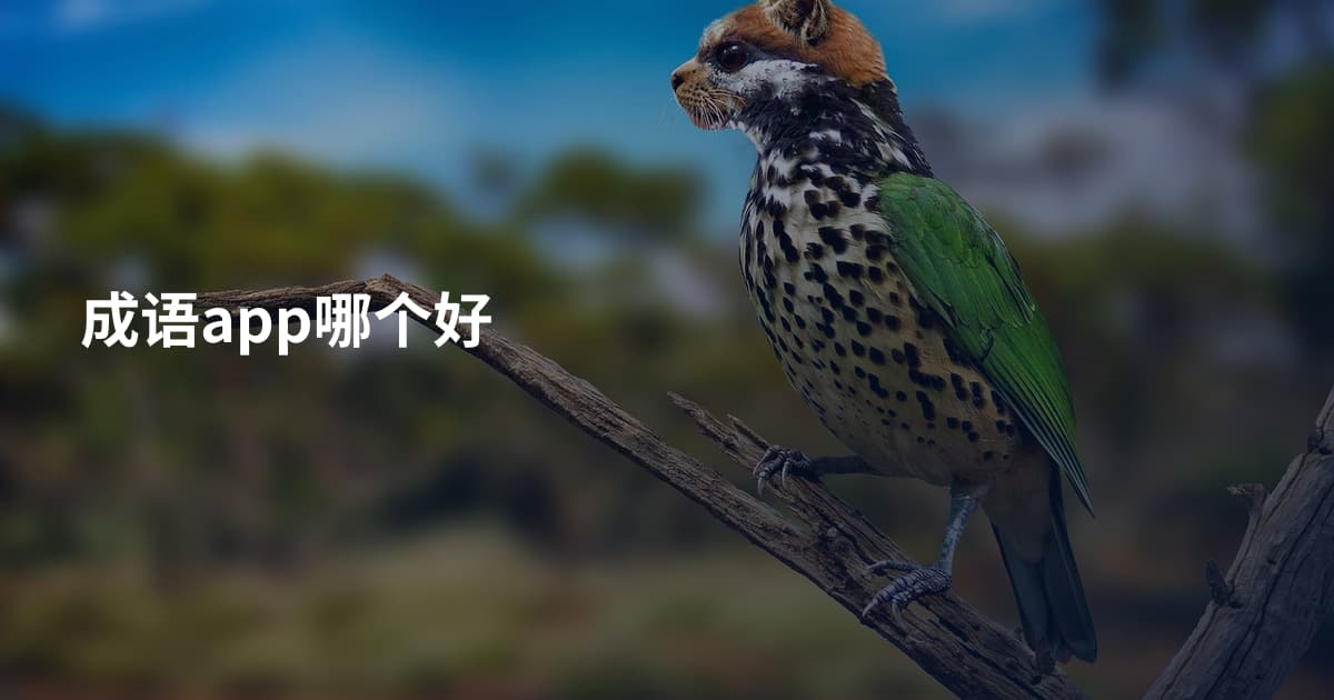 成语app哪个好