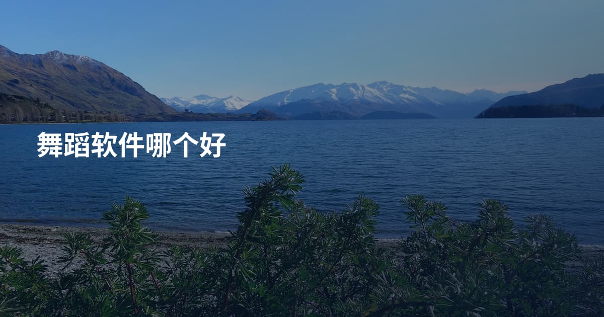舞蹈软件哪个好