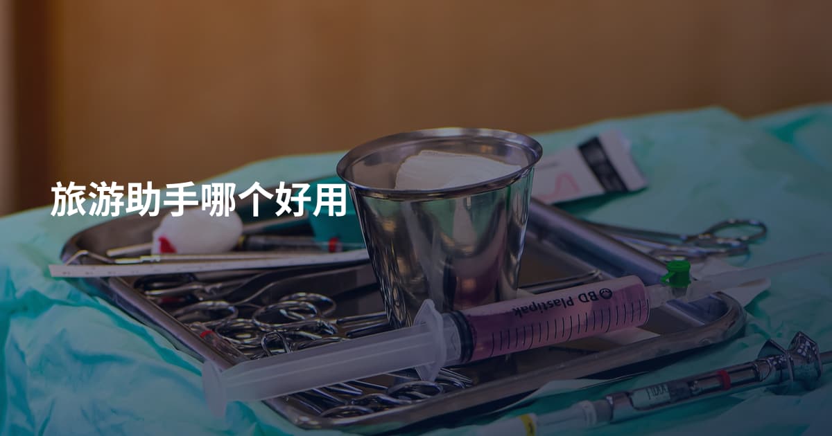 旅游助手哪个好用