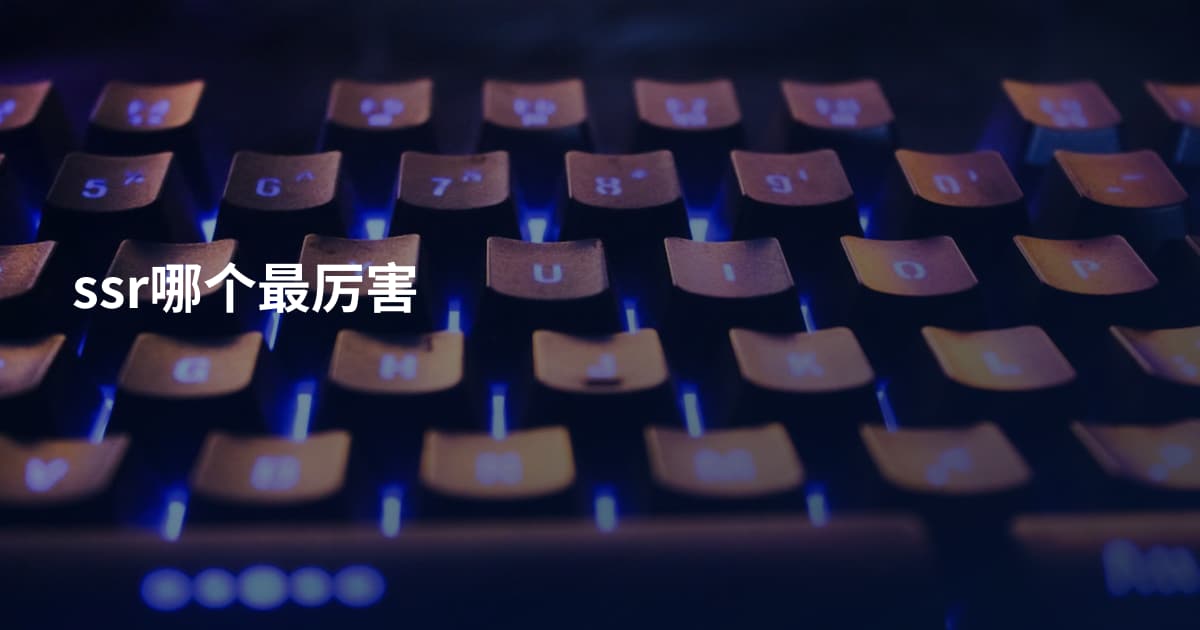 ssr哪个最厉害