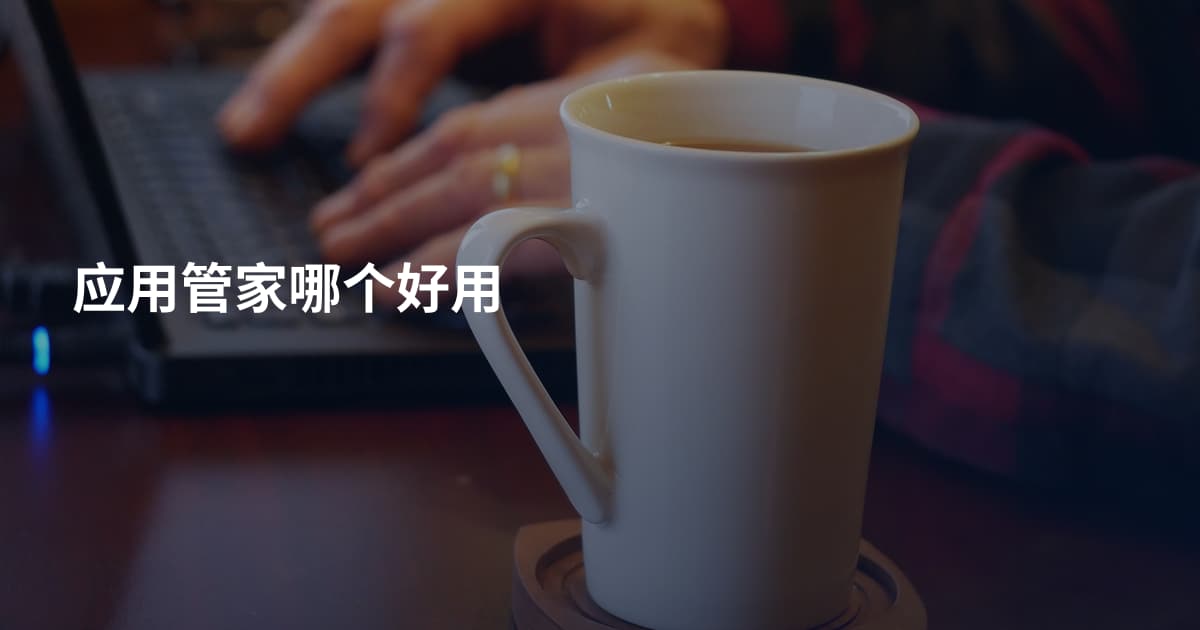 应用管家哪个好用
