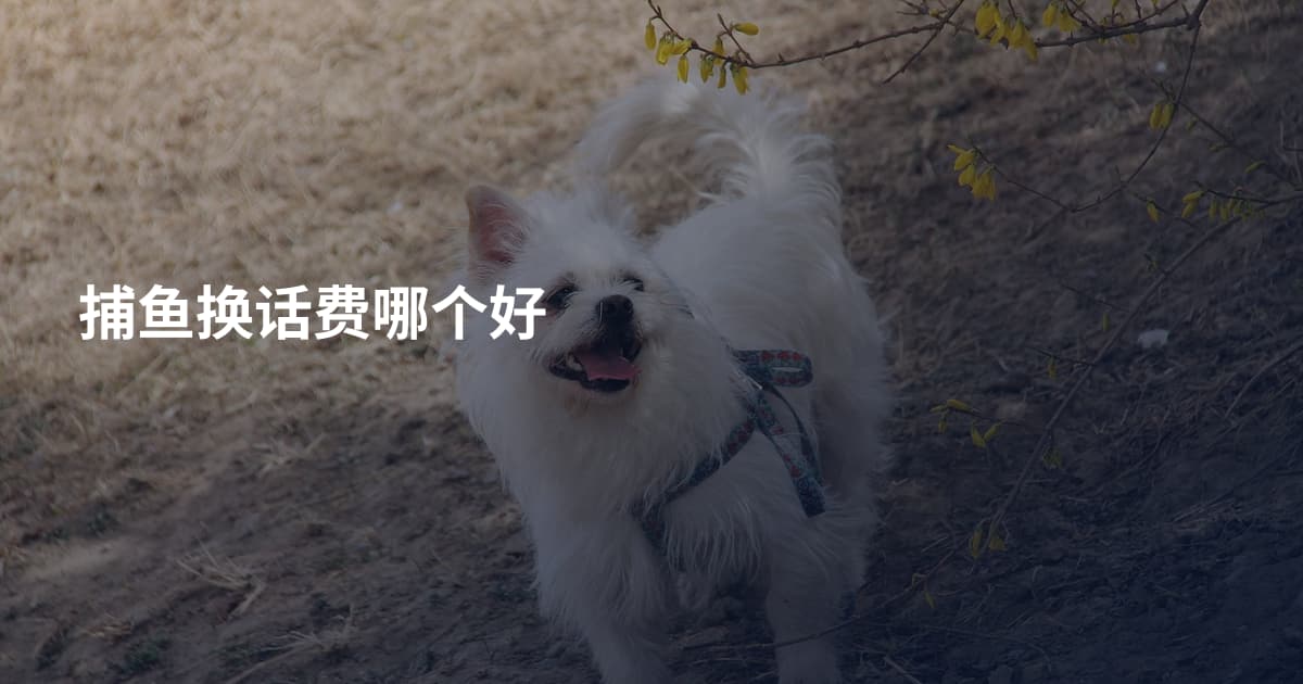 捕鱼换话费哪个好