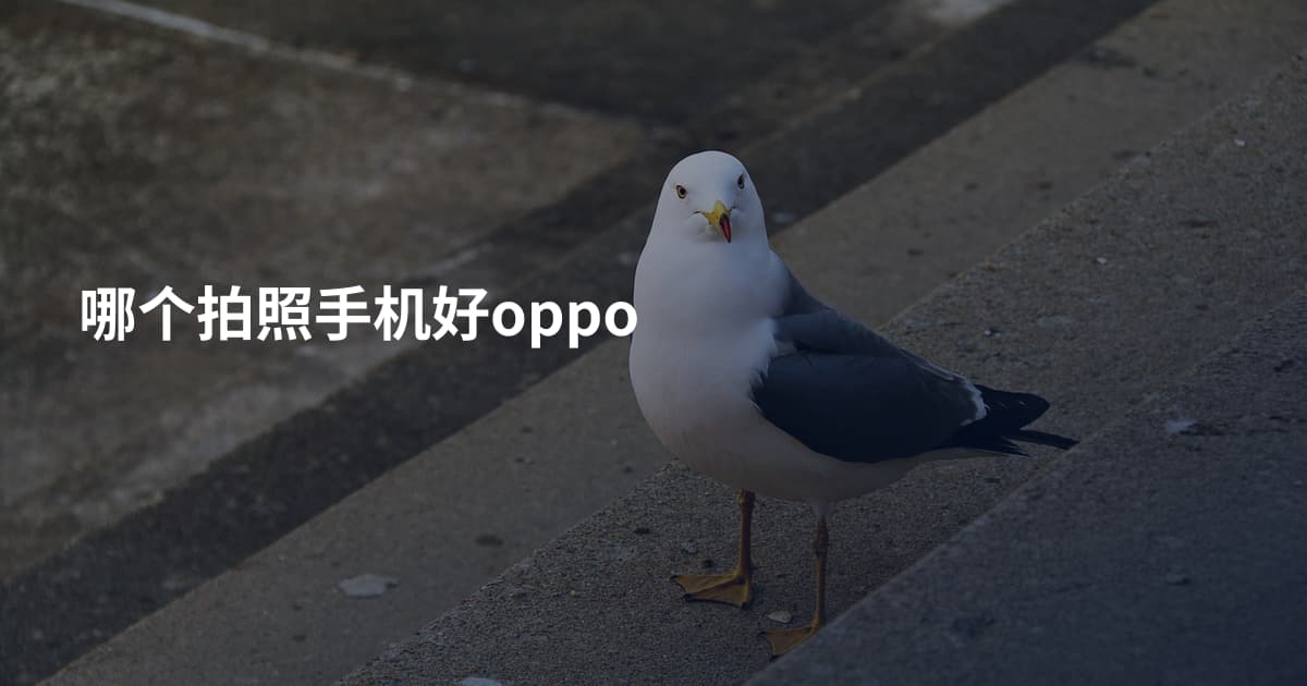 哪个拍照手机好oppo