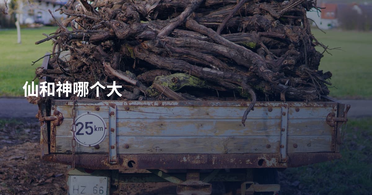仙和神哪个大