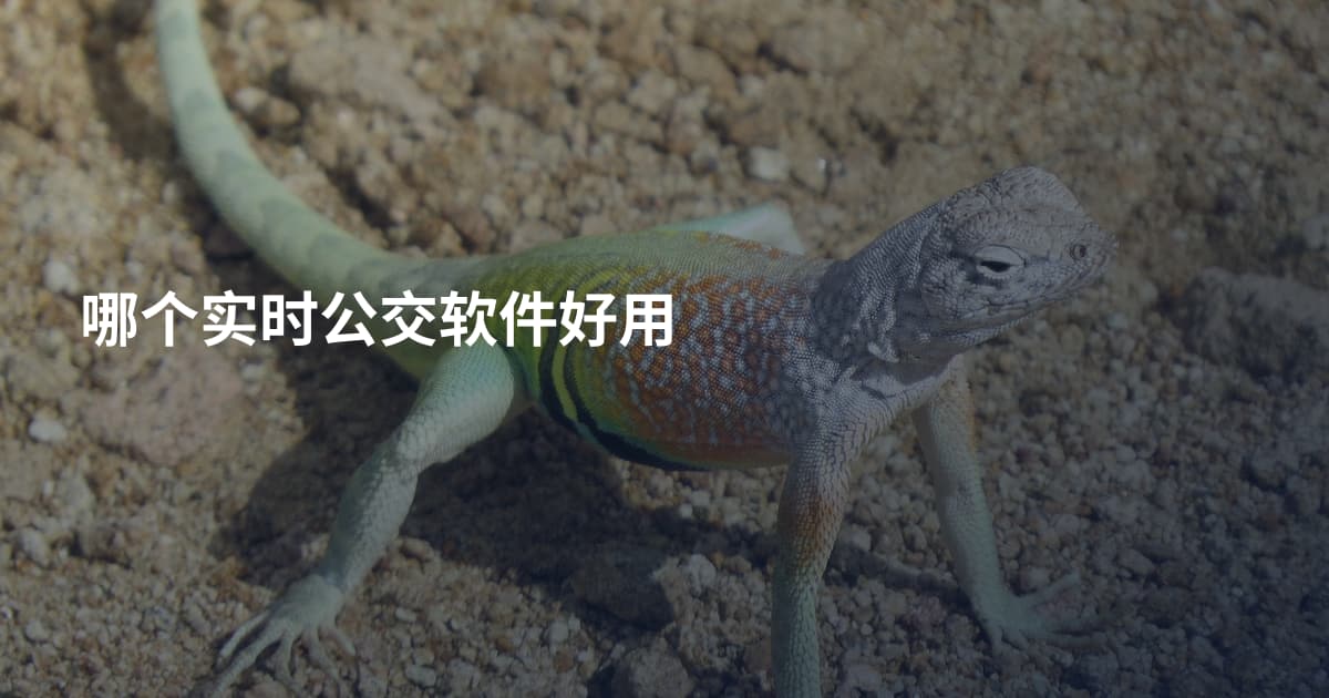 哪个实时公交软件好用